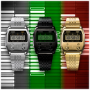 Reloj Casio Modelo A1100G-5 Diseño Elegante