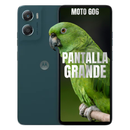 Celular MOTOROLA G06 4G 256GB/4GB - Azul