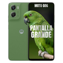 Celular MOTOROLA G06 4G 256GB/4GB - Verde