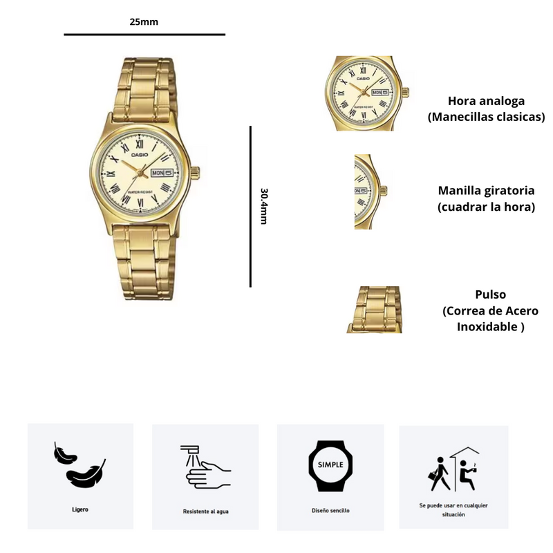 Reloj Casio LTP-V006G-9B Diseño Casual