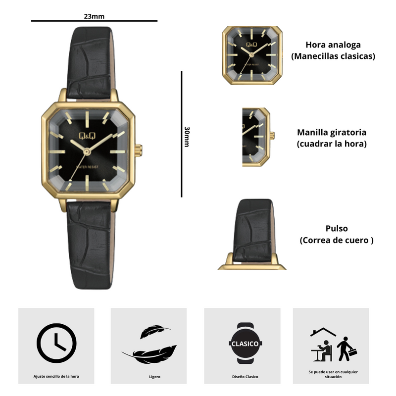 Reloj Q&Q QZ73J102Y Diseño Clásico