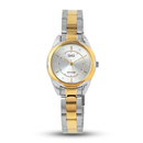 Reloj mujer Q&Q Modelo Q19C-501PY Diseño Elegante