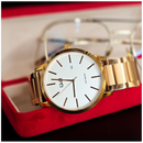 Reloj Q&Q Hombre BL74-805Y Diseño Elegante