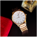 Reloj Q&Q Hombre BL74-805Y Diseño Elegante