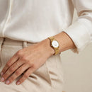 Reloj Q&Q Modelo C09A-523PY Diseño Elegante