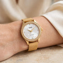 Reloj Q&Q Modelo C80A-004PY Diseño Elegante