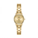 Reloj Mujer Modelo Q&Q Q15C-503PY Diseño Elegante