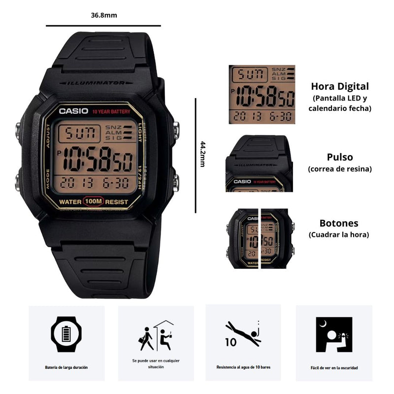 Reloj Casio Referencia W-800HG-9A Diseño Deportivo